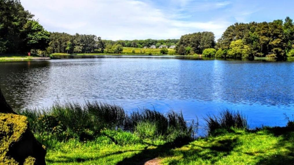 لانَرك Tranquil Accommodation In A Great Location. المظهر الخارجي الصورة